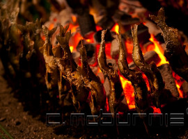 Poisson grillé • Grilled fish
