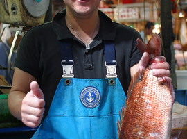 Tsukiji shijo • Fish Market - Tokyo - Japan