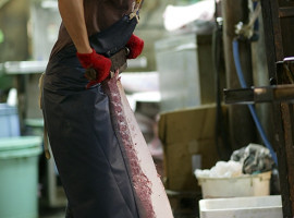 Tsukiji shijo • Fish Market - Tokyo - Japan