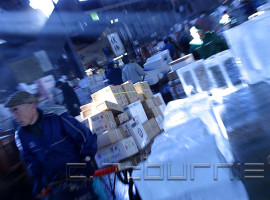 Tsukiji shijo • Fish Market - Tokyo - Japan